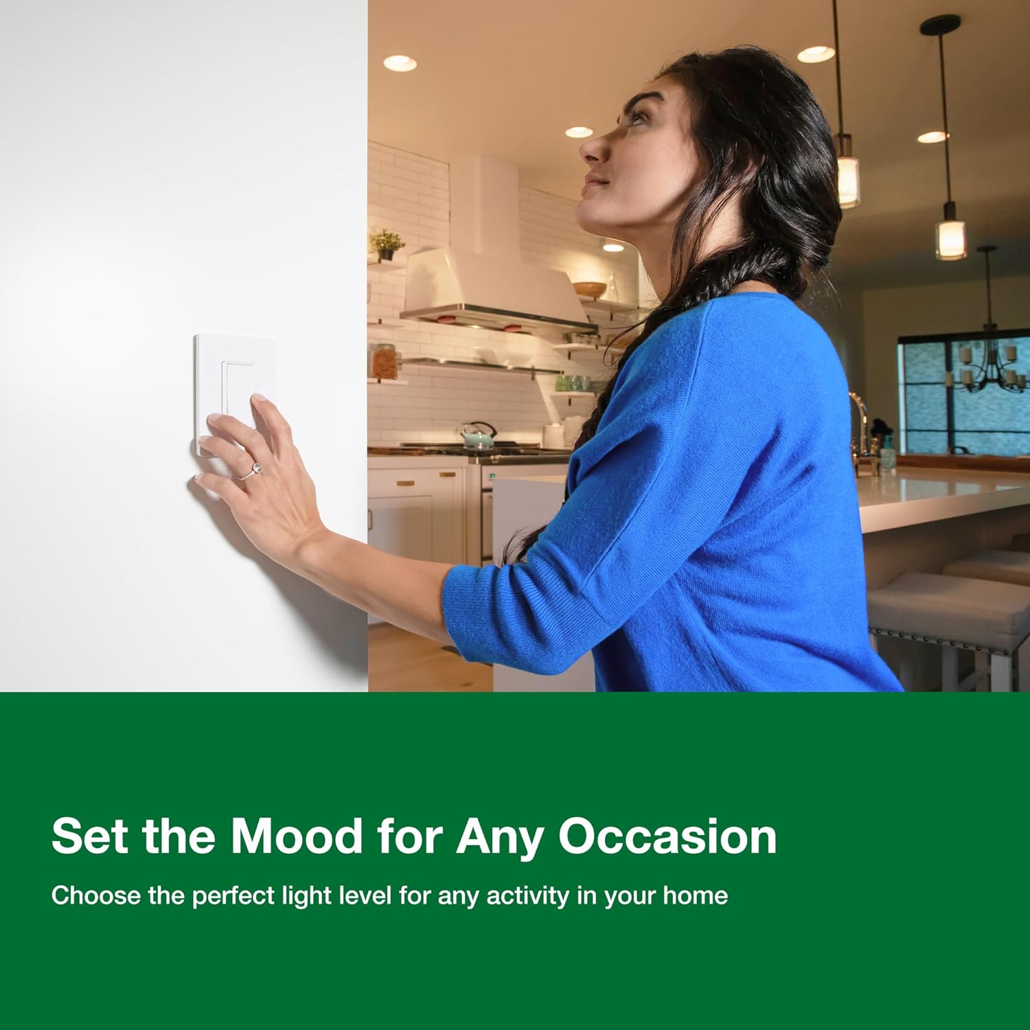 Lutron product image
